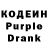 Codein Purple Drank Dastan Maksatov