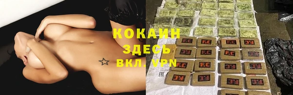PSILOCYBIN Балахна