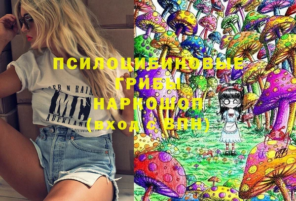 PSILOCYBIN Балахна