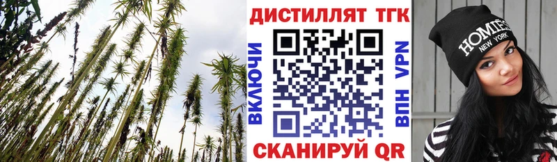 hydra вход  Минеральные Воды  Дистиллят ТГК концентрат 