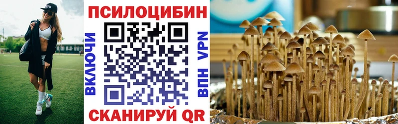 где найти Минеральные Воды Псилоцибиновые грибы Psilocybe