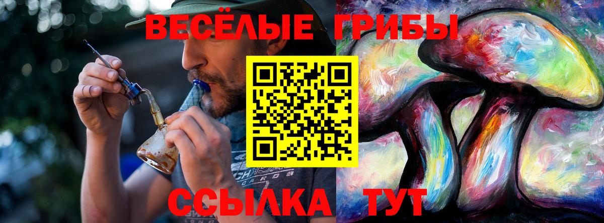Псилоцибиновые грибы Psilocybe Минеральные Воды